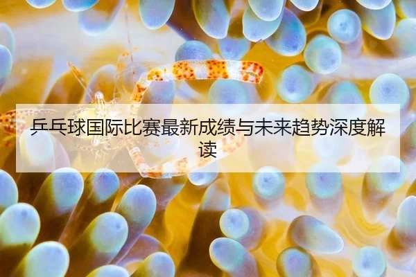 乒乓球国际比赛最新成绩与未来趋势深度解读