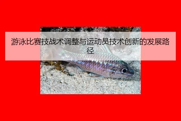 游泳比赛技战术调整与运动员技术创新的发展路径